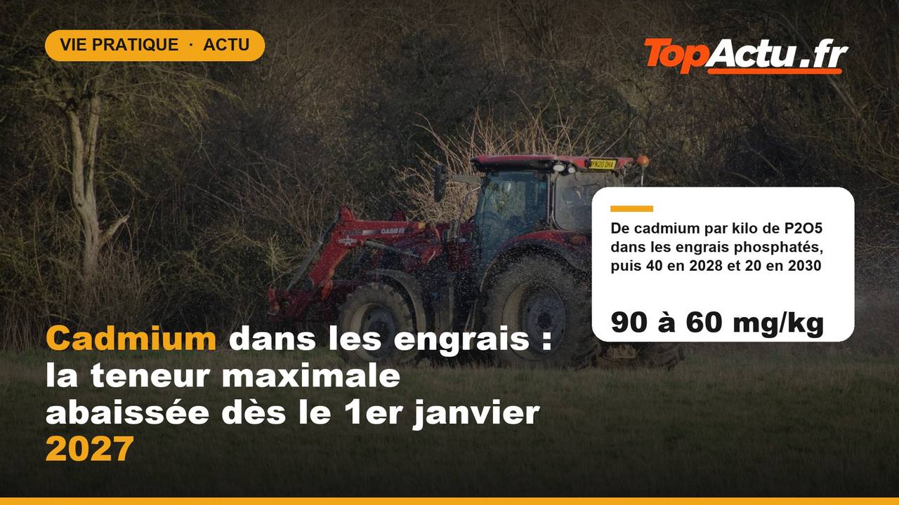 Cadmium dans les engrais : la teneur maximale abaissée dès le 1er janvier 2027 : 90 à 60 mg/kg, image à la une