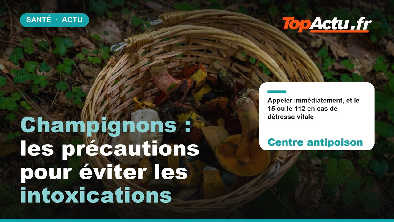 Champignons : les précautions pour éviter les intoxications : Centre antipoison, image à la une