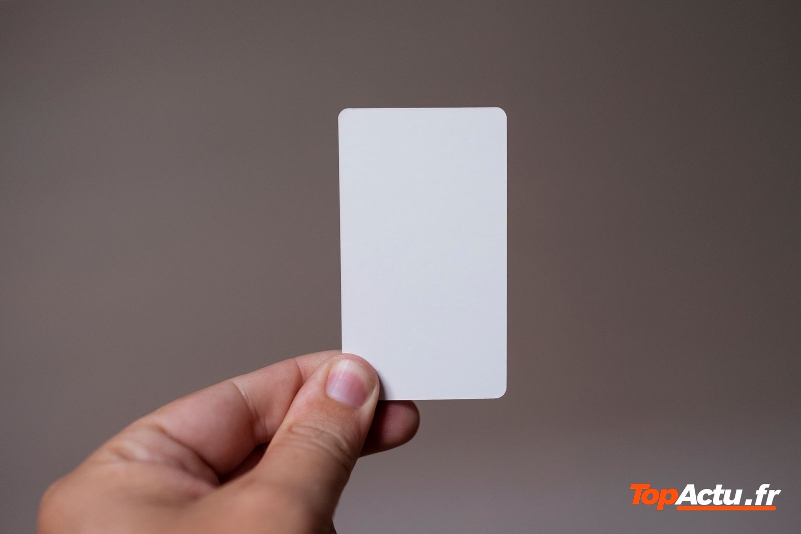 Main qui tient une carte vierge au format carte d'identité, sur fond gris