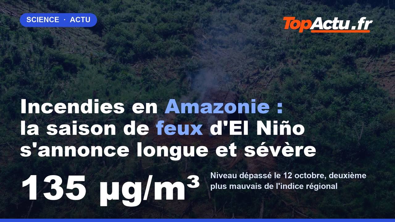 Incendies en Amazonie : la saison de feux d'El Niño s'annonce longue et sévère : 135 µg/m³, image à la une