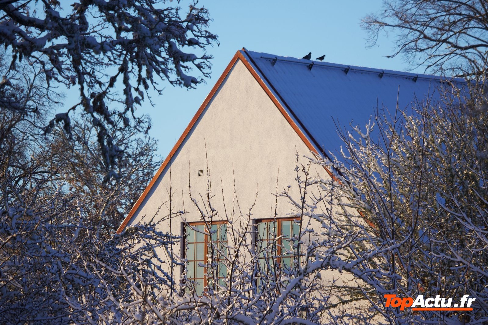 Maison au toit pentu bleu, entourée d'arbres givrés