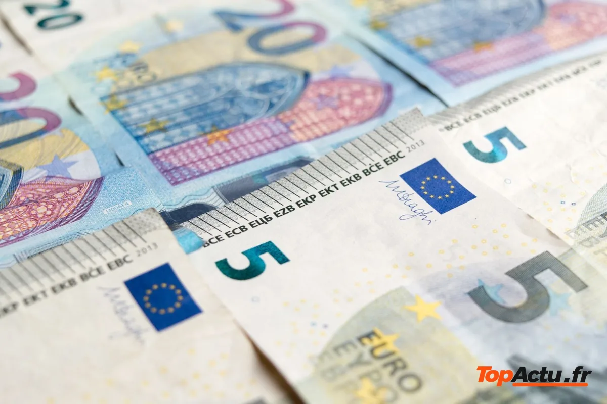 Billets de 5 et de 20 euros étalés, vus de près
