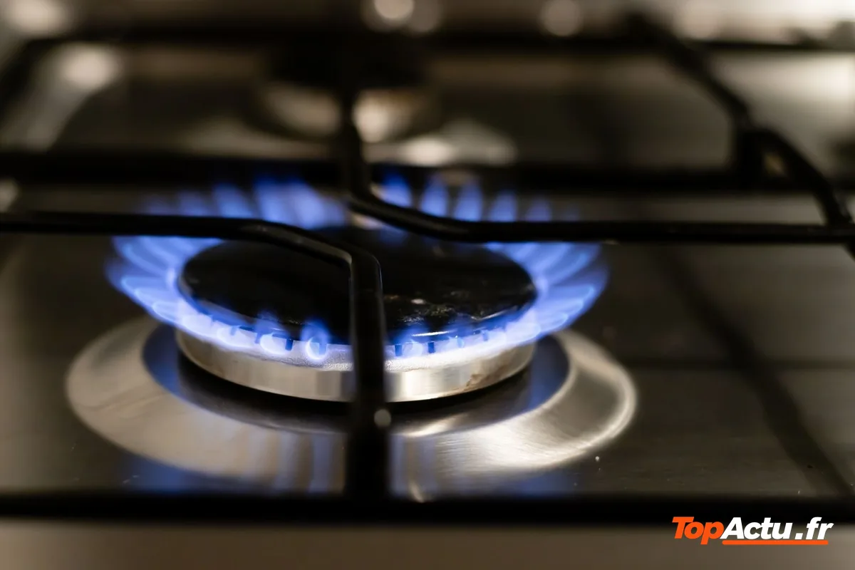 Un brûleur de gazinière avec sa flamme bleue, vu de près