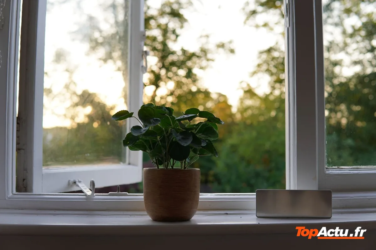 Fenêtre ouverte avec une plante en pot sur le rebord, à la lumière du soir