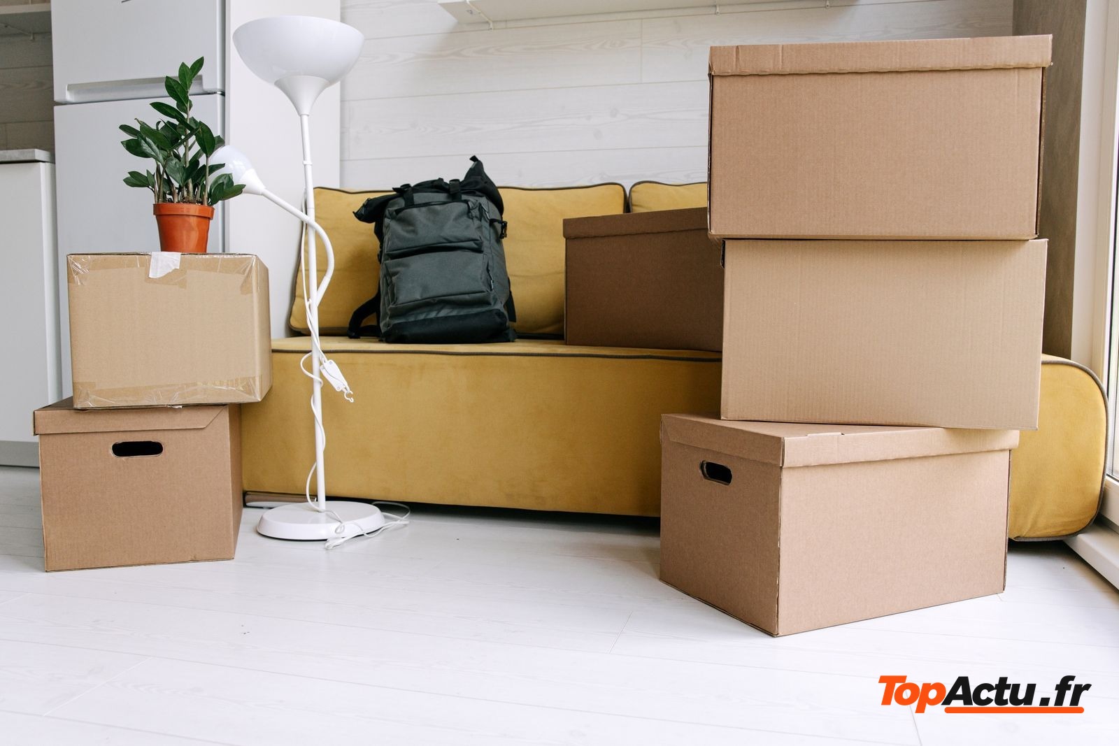 Cartons de déménagement empilés dans un salon