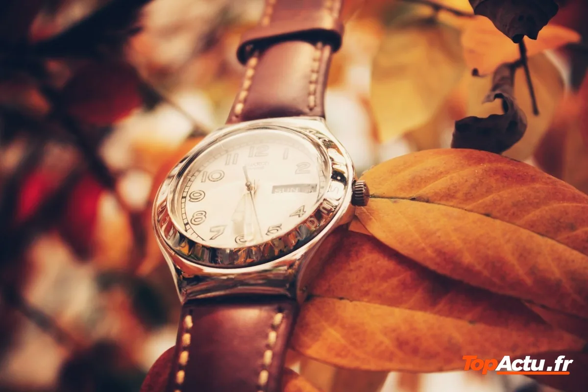 Montre-bracelet posée sur des feuilles d'automne