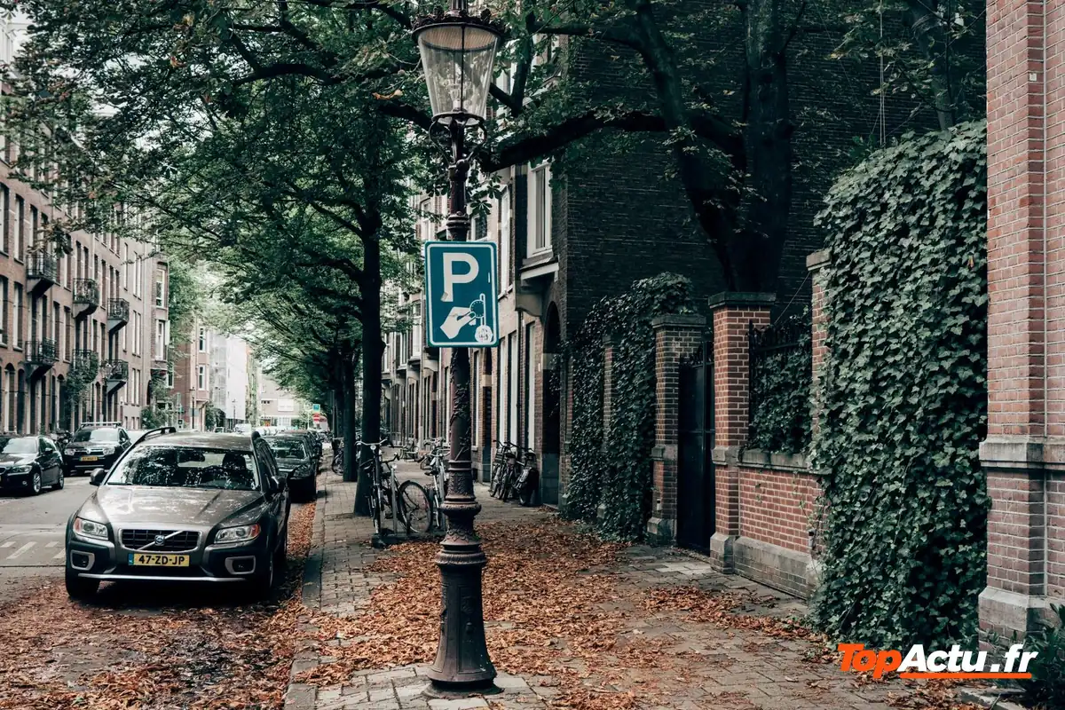 Une voiture garée le long d'un trottoir pavé, au milieu des feuilles mortes
